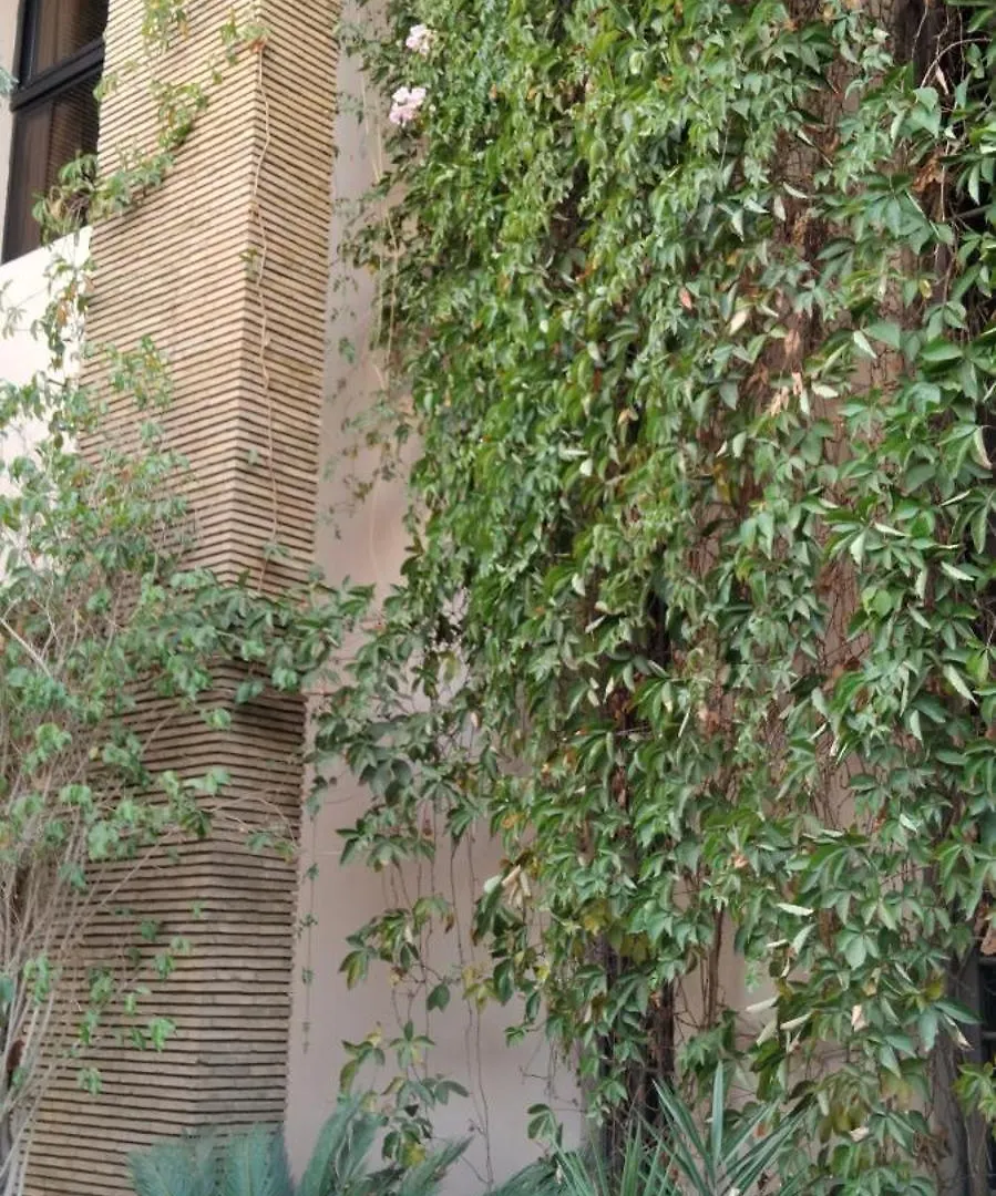 Spins Hostel Gueliz Marrakesh