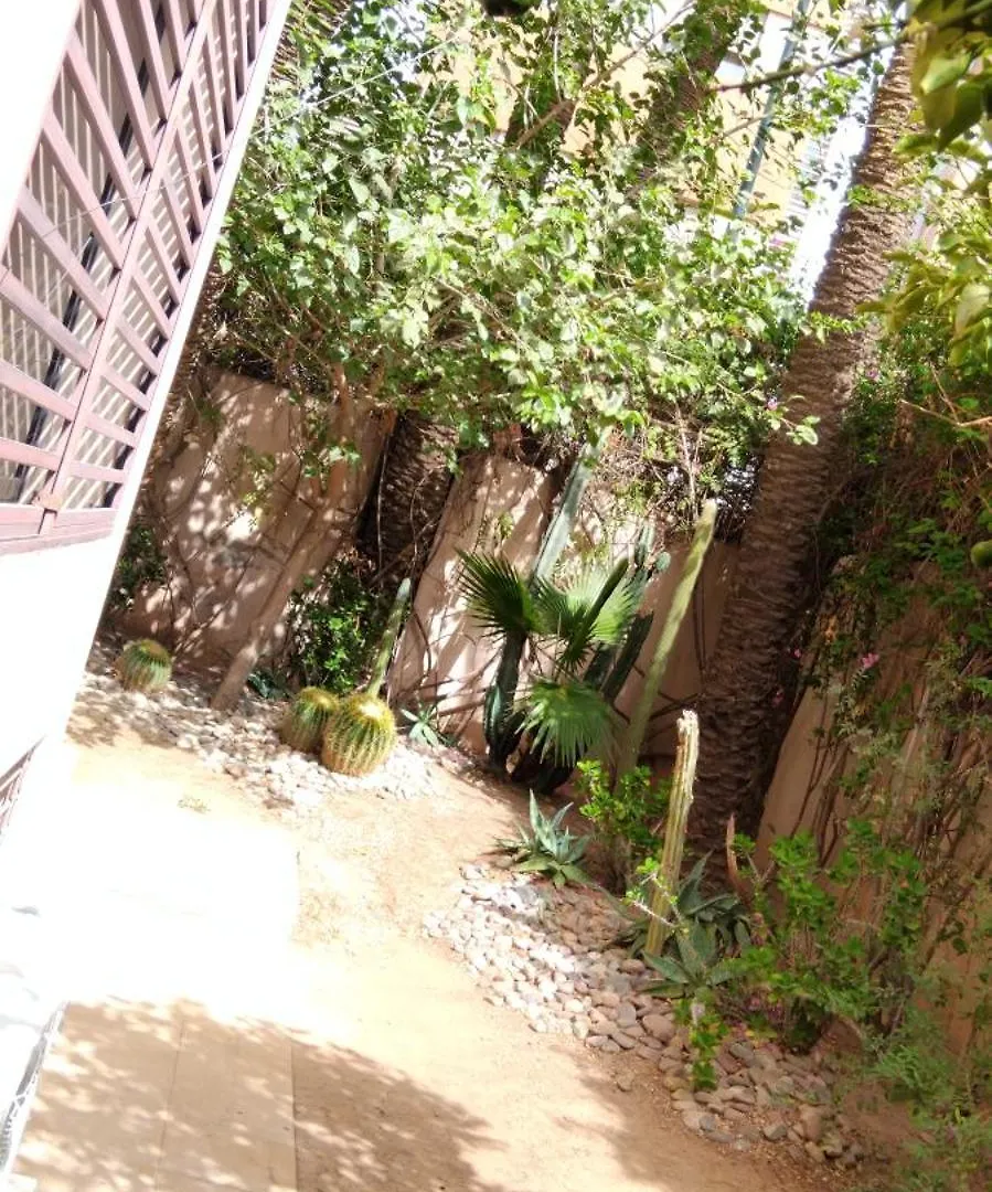 Spins Hostel Gueliz Marrakesh Morocco